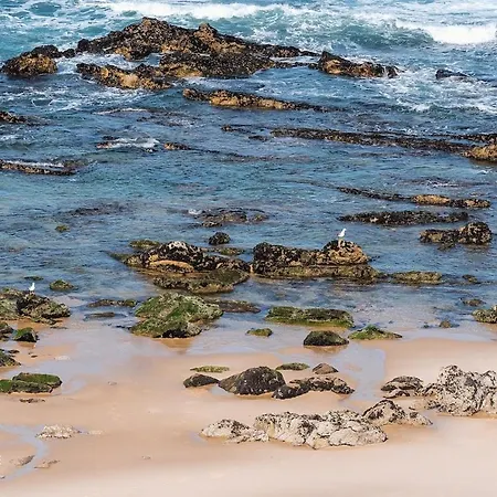 Cantinho Dos Pereiras - Center Of Διαμέρισμα Santa Cruz (Oeste)
